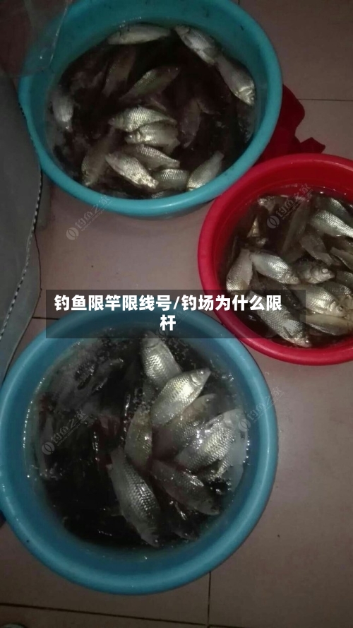 钓鱼限竿限线号/钓场为什么限杆