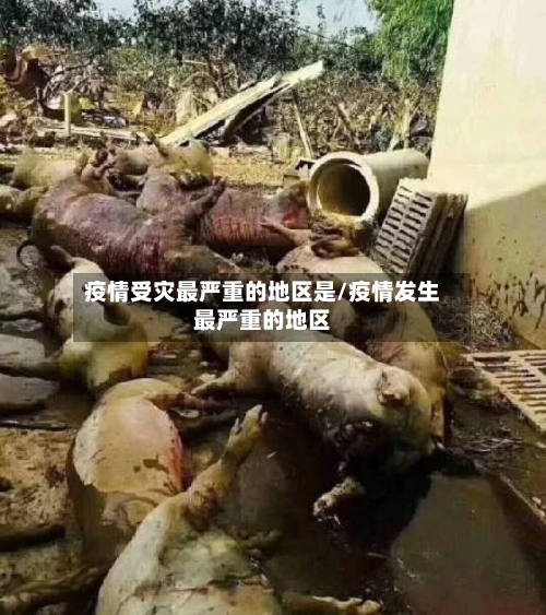 疫情受灾最严重的地区是/疫情发生最严重的地区