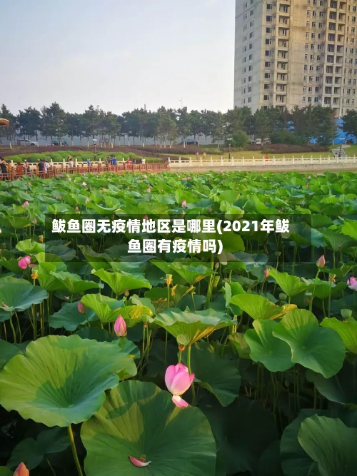 鲅鱼圈无疫情地区是哪里(2021年鲅鱼圈有疫情吗)