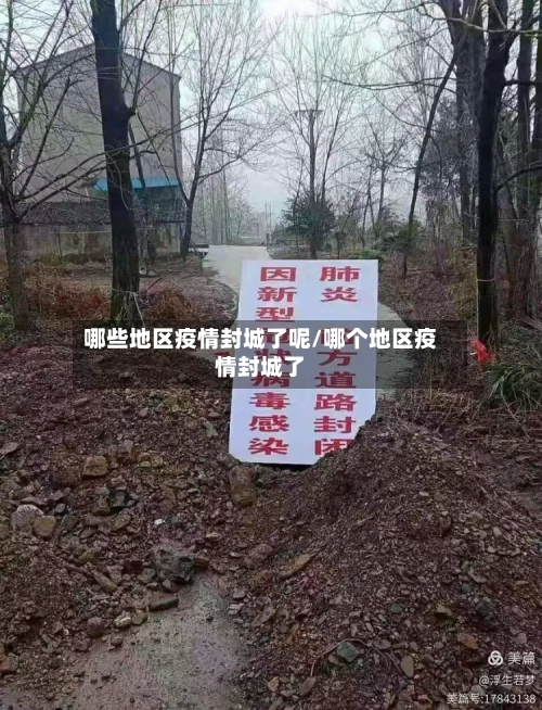 哪些地区疫情封城了呢/哪个地区疫情封城了