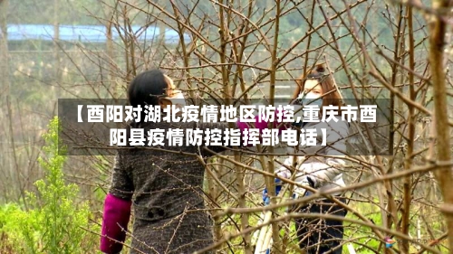 【酉阳对湖北疫情地区防控,重庆市酉阳县疫情防控指挥部电话】