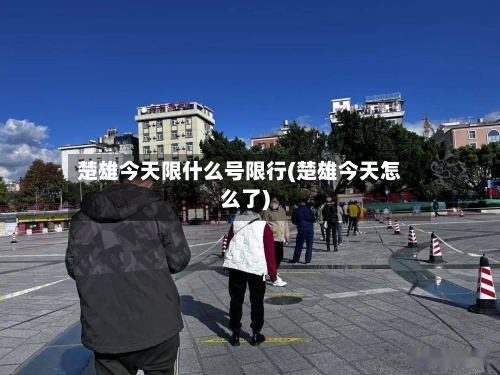楚雄今天限什么号限行(楚雄今天怎么了)