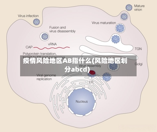 疫情风险地区AB指什么(风险地区划分abcd)