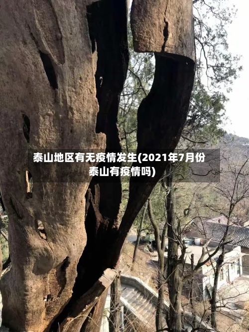 泰山地区有无疫情发生(2021年7月份泰山有疫情吗)