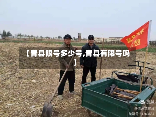 【青县限号多少号,青县有限号吗】