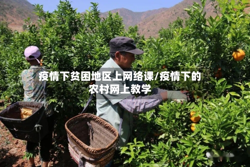 疫情下贫困地区上网络课/疫情下的农村网上教学