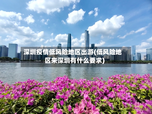 深圳疫情低风险地区出游(低风险地区来深圳有什么要求)
