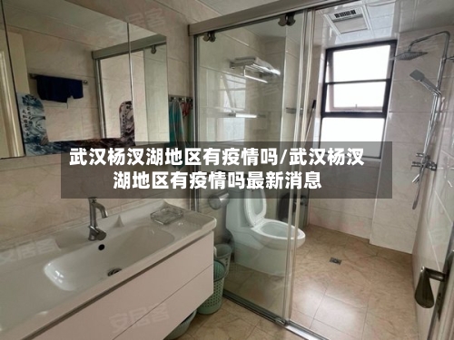 武汉杨汊湖地区有疫情吗/武汉杨汊湖地区有疫情吗最新消息