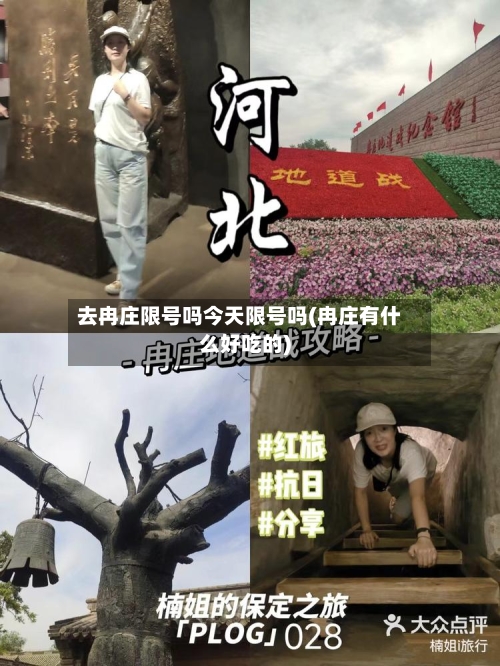 去冉庄限号吗今天限号吗(冉庄有什么好吃的)