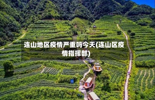 连山地区疫情严重吗今天(连山区疫情指挥部)