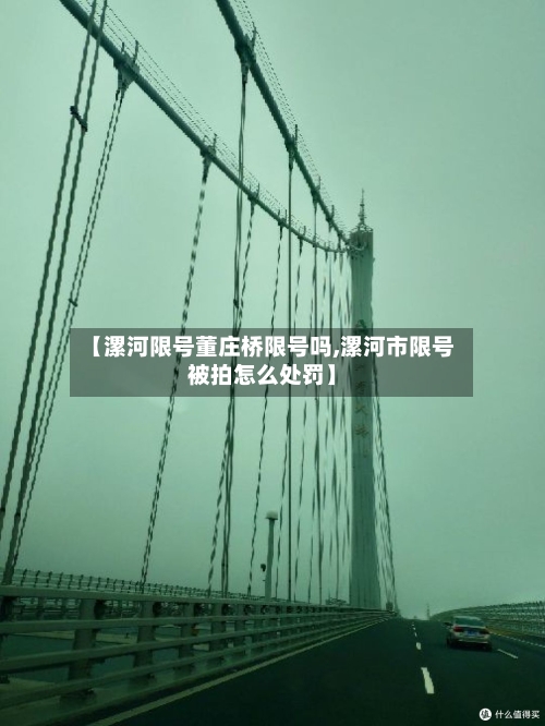 【漯河限号董庄桥限号吗,漯河市限号被拍怎么处罚】