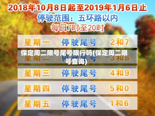 保定周二限号尾号限行吗(保定周二限号查询)