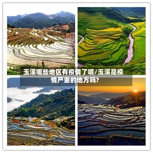 玉溪哪些地区有疫情了呢/玉溪是疫情严重的地方吗?