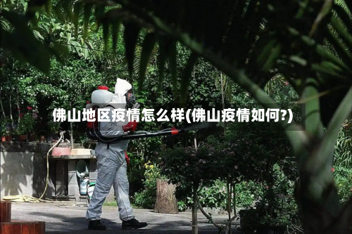 佛山地区疫情怎么样(佛山疫情如何?)