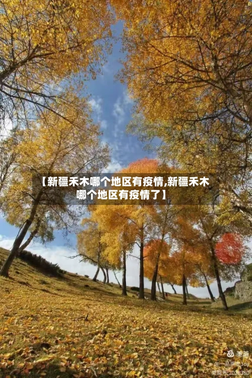 【新疆禾木哪个地区有疫情,新疆禾木哪个地区有疫情了】
