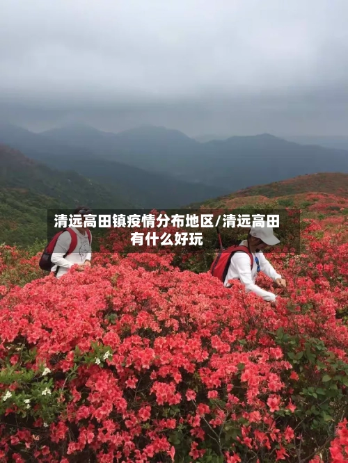 清远高田镇疫情分布地区/清远高田有什么好玩