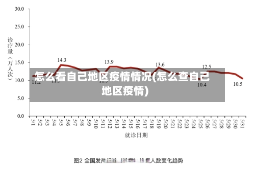 怎么看自己地区疫情情况(怎么查自己地区疫情)