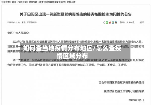 如何查当地疫情分布地区/怎么查疫情区域分布