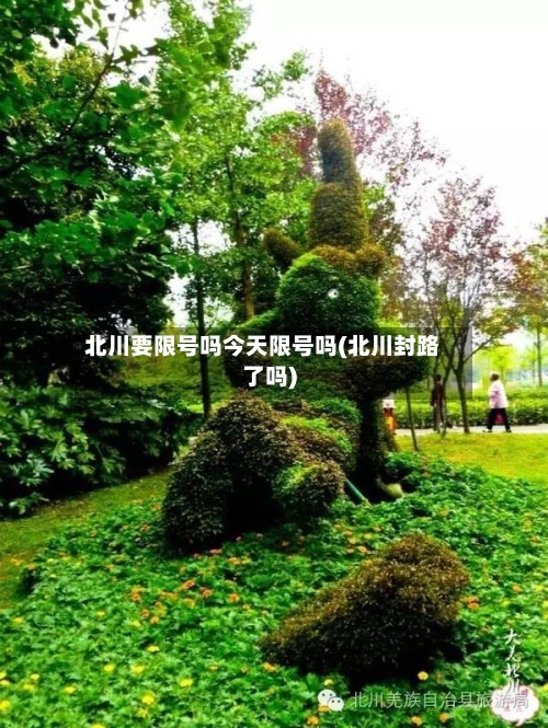 北川要限号吗今天限号吗(北川封路了吗)