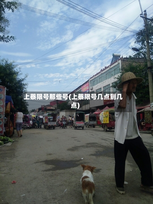 上蔡限号那些号(上蔡限号几点到几点)