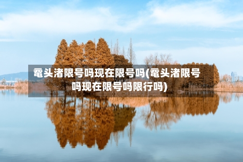 鼋头渚限号吗现在限号吗(鼋头渚限号吗现在限号吗限行吗)