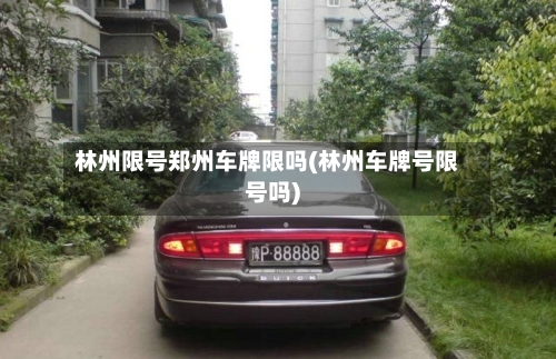 林州限号郑州车牌限吗(林州车牌号限号吗)