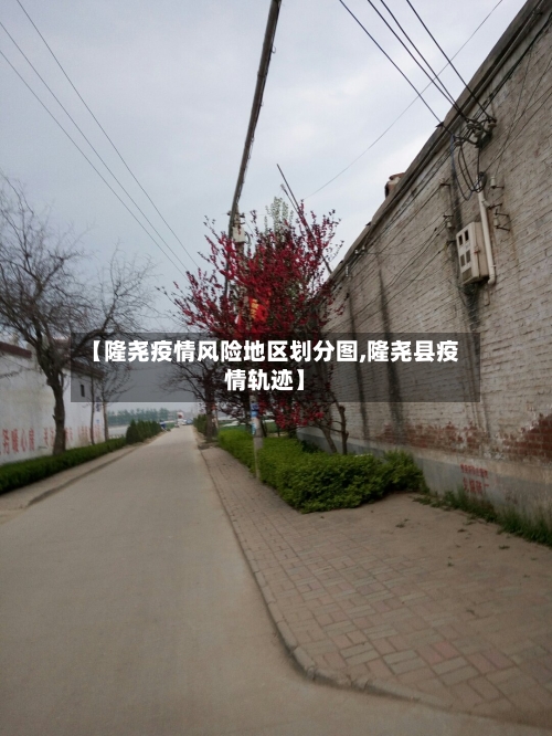 【隆尧疫情风险地区划分图,隆尧县疫情轨迹】