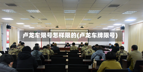 卢龙车限号怎样限的(卢龙车牌限号)