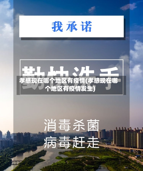 孝感现在哪个地区有疫情(孝感现在哪个地区有疫情发生)