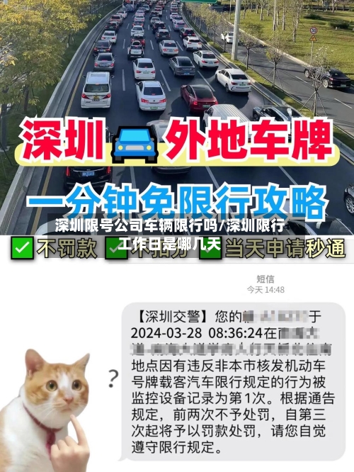 深圳限号公司车辆限行吗/深圳限行工作日是哪几天