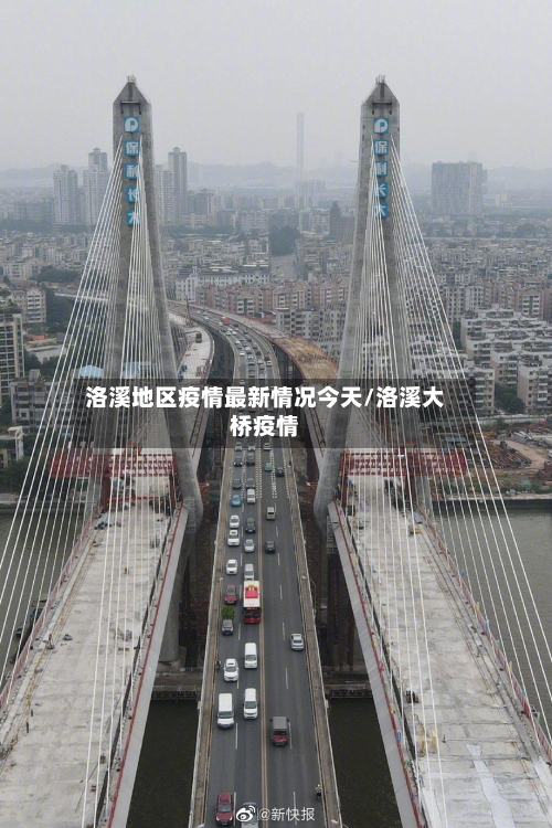 洛溪地区疫情最新情况今天/洛溪大桥疫情
