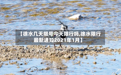 【徐水几天限号今天限行吗,徐水限行最新通知2021年1月】