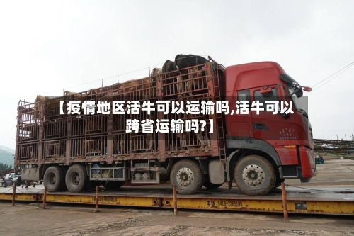 【疫情地区活牛可以运输吗,活牛可以跨省运输吗?】