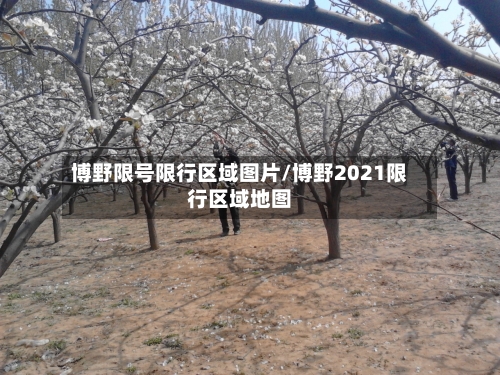 博野限号限行区域图片/博野2021限行区域地图