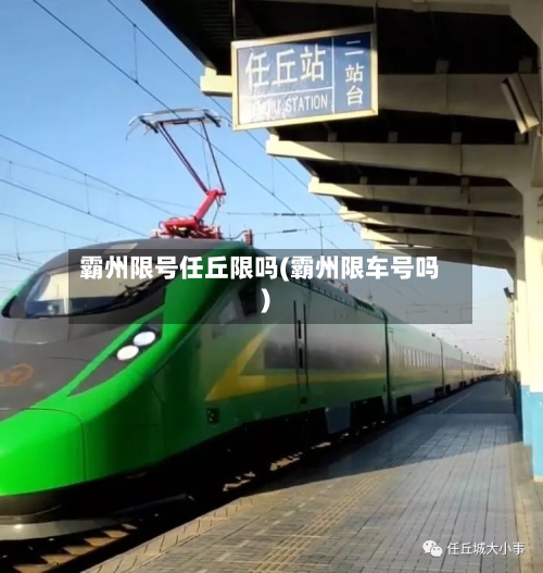 霸州限号任丘限吗(霸州限车号吗)