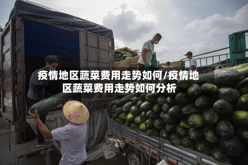 疫情地区蔬菜费用走势如何/疫情地区蔬菜费用走势如何分析