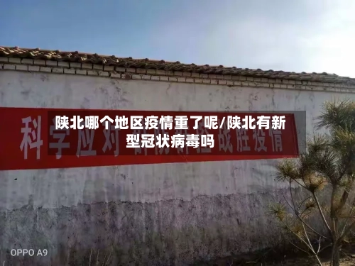 陕北哪个地区疫情重了呢/陕北有新型冠状病毒吗