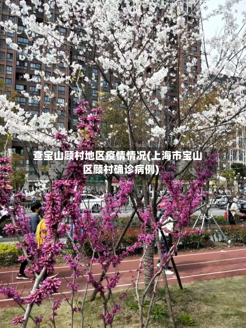 查宝山顾村地区疫情情况(上海市宝山区顾村确诊病例)