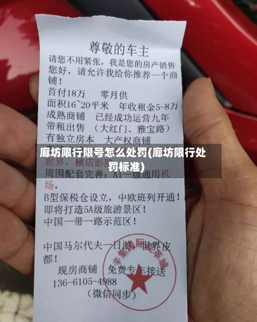 廊坊限行限号怎么处罚(廊坊限行处罚标准)