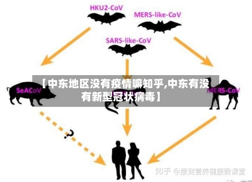 【中东地区没有疫情嘛知乎,中东有没有新型冠状病毒】