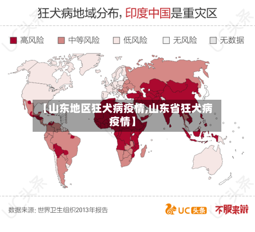 【山东地区狂犬病疫情,山东省狂犬病疫情】