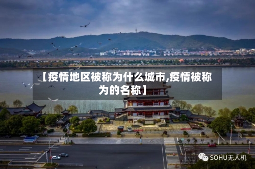 【疫情地区被称为什么城市,疫情被称为的名称】