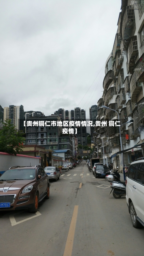 【贵州铜仁市地区疫情情况,贵州 铜仁 疫情】