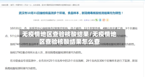 无疫情地区查验核酸结果/无疫情地区查验核酸结果怎么查