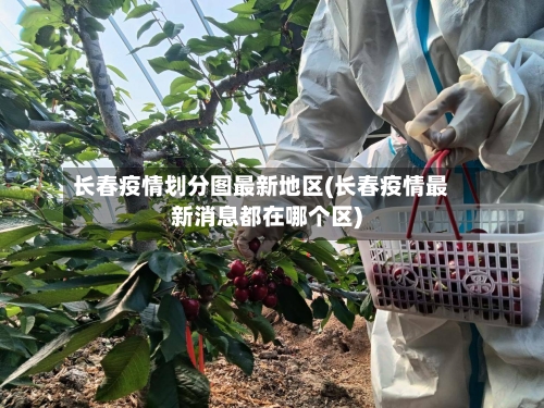 长春疫情划分图最新地区(长春疫情最新消息都在哪个区)
