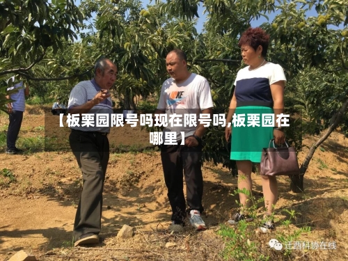 【板栗园限号吗现在限号吗,板栗园在哪里】