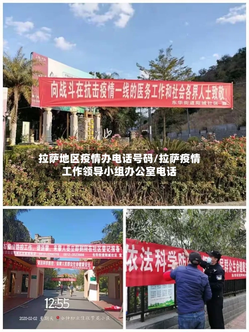 拉萨地区疫情办电话号码/拉萨疫情工作领导小组办公室电话