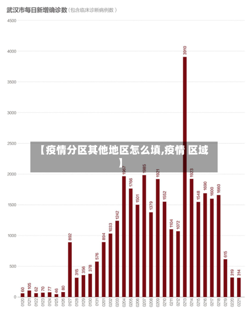 【疫情分区其他地区怎么填,疫情 区域】