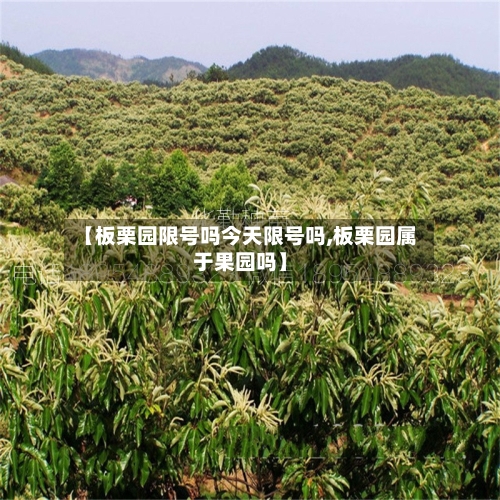 【板栗园限号吗今天限号吗,板栗园属于果园吗】