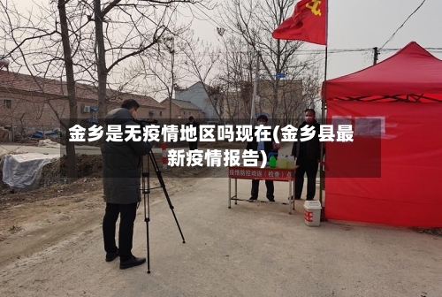 金乡是无疫情地区吗现在(金乡县最新疫情报告)